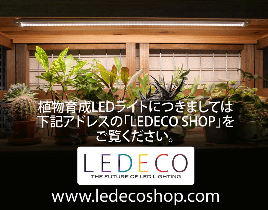 LED ECO