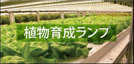 植物育成ランプ